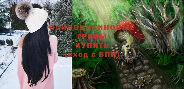 молекула духа Михайловск