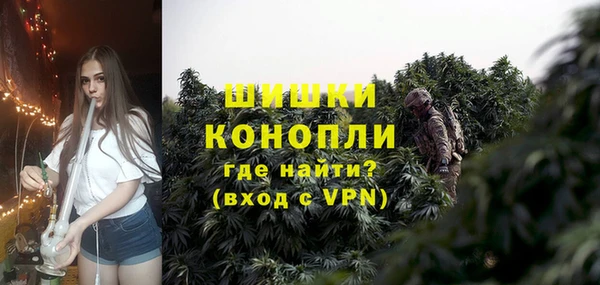 молекула духа Михайловск