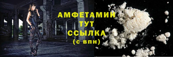 молекула духа Михайловск
