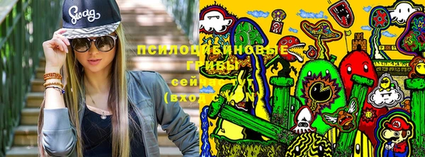 молекула духа Михайловск
