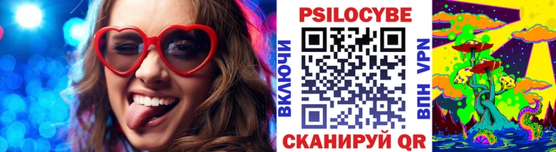 MEGA рабочий сайт  Ардатов  Псилоцибиновые грибы Psilocybe  что такое  