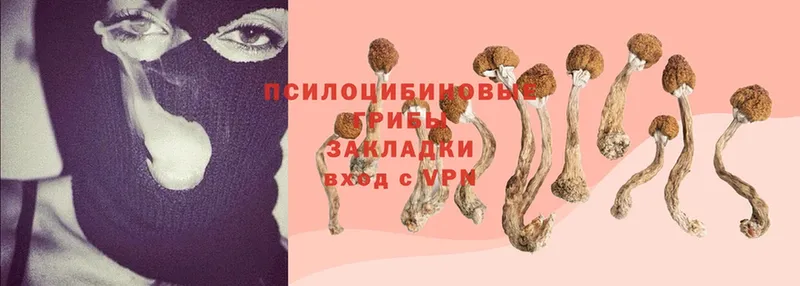 Псилоцибиновые грибы Magic Shrooms  Ардатов 