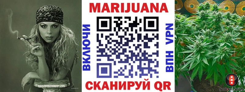 Бошки марихуана гибрид  где найти наркотики  Ардатов 
